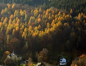 Sonniges Herbstwetter in Sachsen