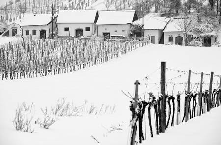 Kellergasse und Weinberg im Winter