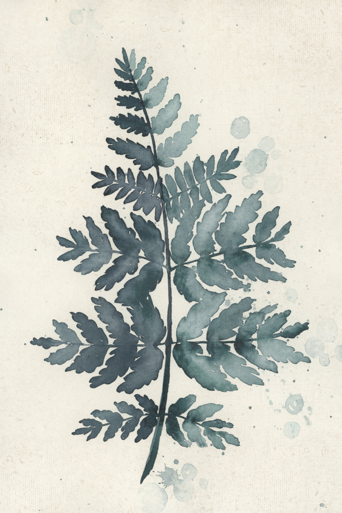 Teal watercolor fern 1 from Rosana Laiz Blursbyai