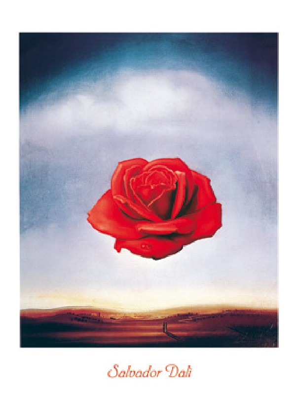 Rose meditative - (SD-819) - Salvador Dali as art print or hand painted oil.