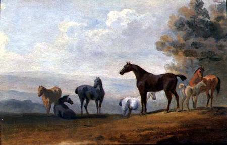 Horses from Sawrey Gilpin
