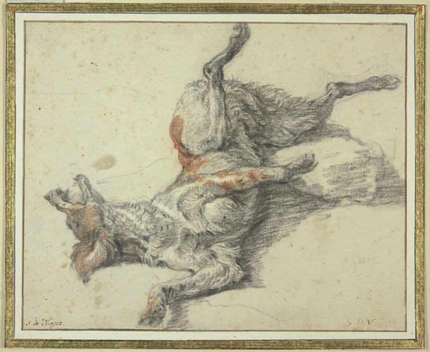 Wounded dog from Simon de Vlieger