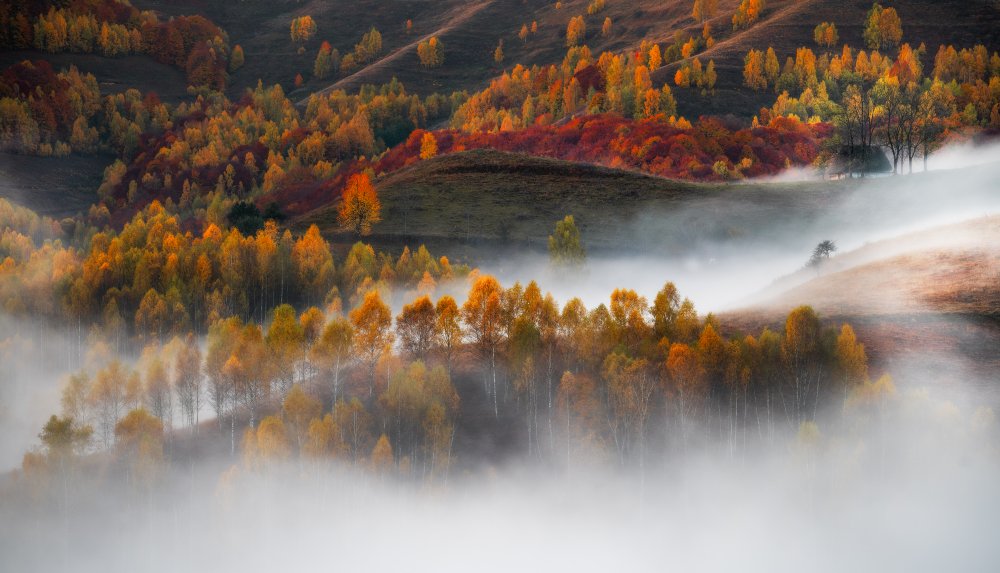 Flowing mist from Stefan Hogea