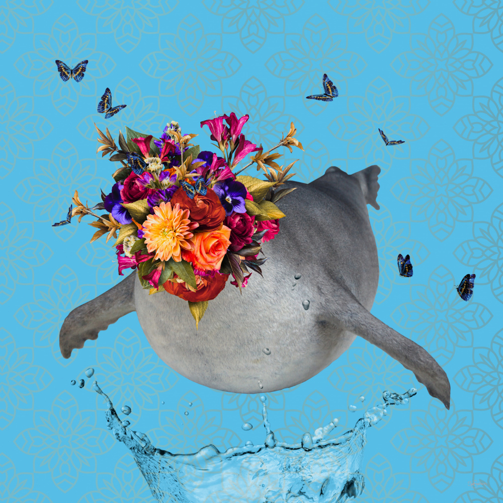 Spring Flower Bonnet On Seal from Sue Skellern
