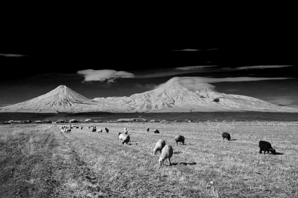 Ararat mountain from Suren Manvelyan