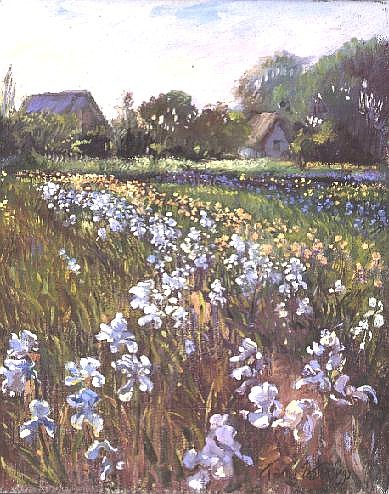 White Irises and Farmstead  from Timothy  Easton