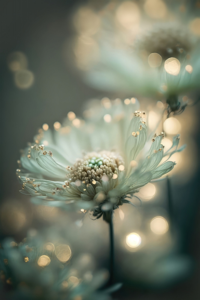 Mint Flower from Treechild