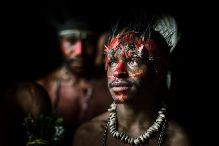 Papuan adornment