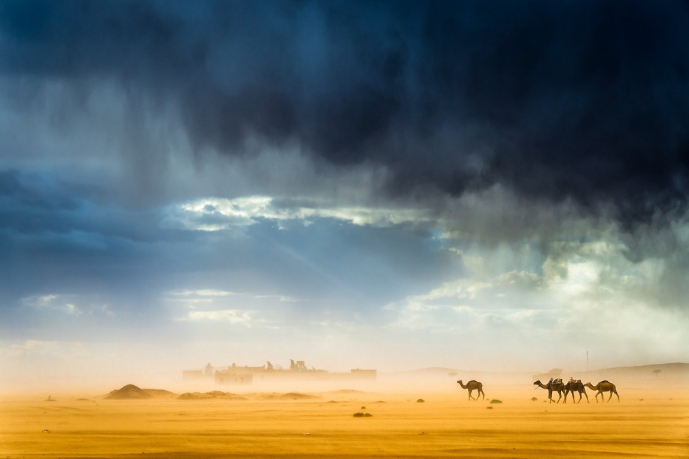 Storm, wind, rain, sand, camels and incredible light in the desert from Tristan Shu