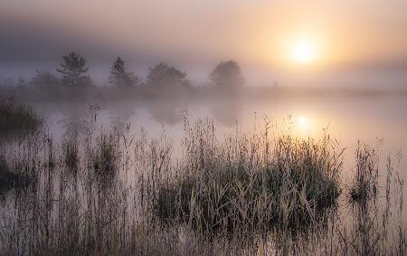 Cold Autumn Morning