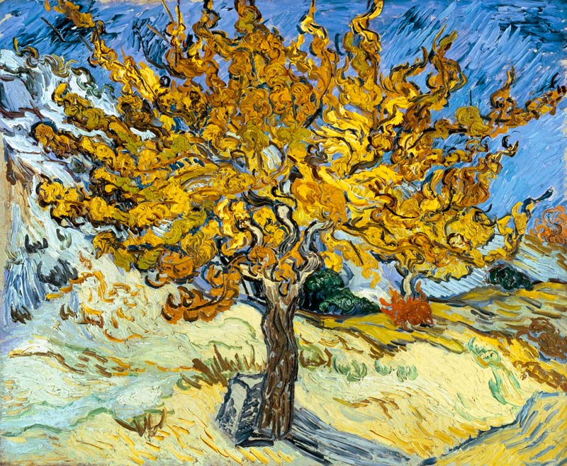 Mulberry Tree - Vincent van Gogh as art print or hand painted oil.