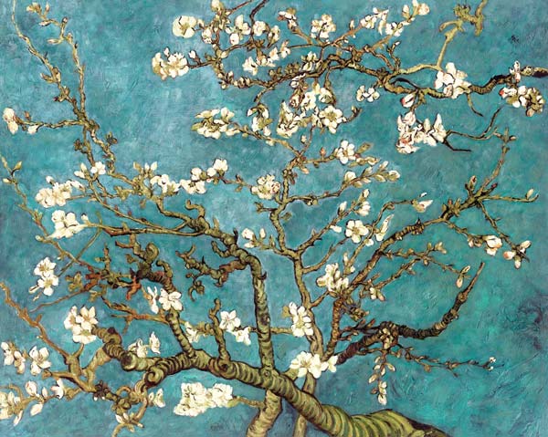 Almond Blossoms (copy) - Vincent van Gogh as art print or hand painted oil.