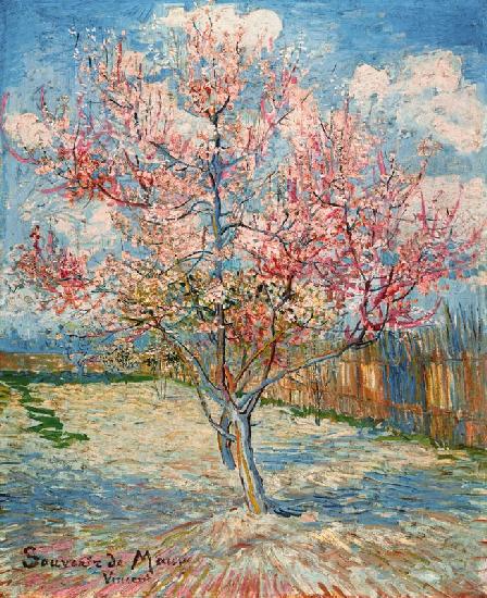 Peach tree in bloom - Vincent van Gogh