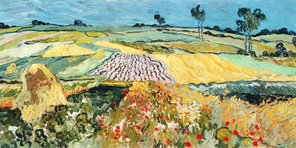 Fields at Auvers