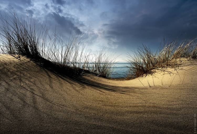 Dunes........... from Wim Schuurmans