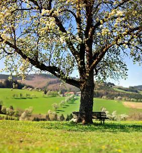 countryside