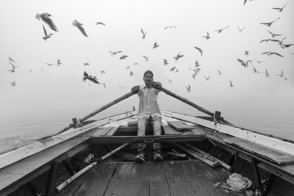 Birds of the Sacred Ganges River from Yasemin Bakan